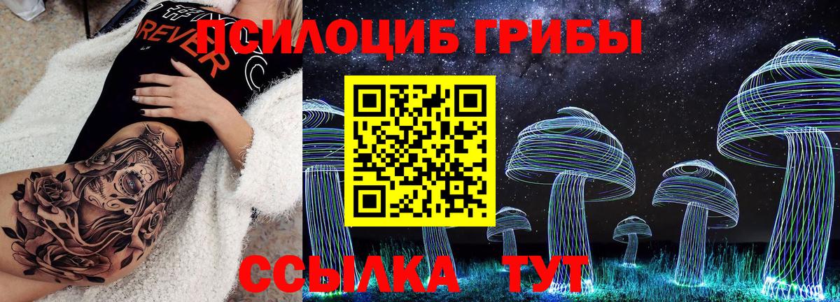 Майский  Псилоцибиновые грибы Psilocybine cubensis  Вход с VPN 