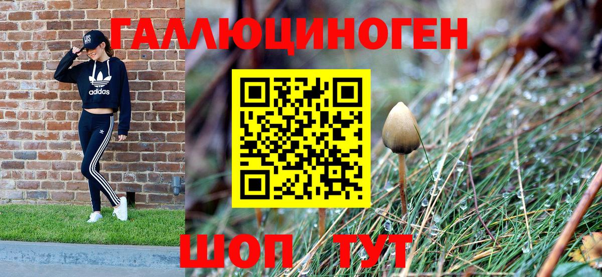 Галлюциногенные грибы мухоморы Майский